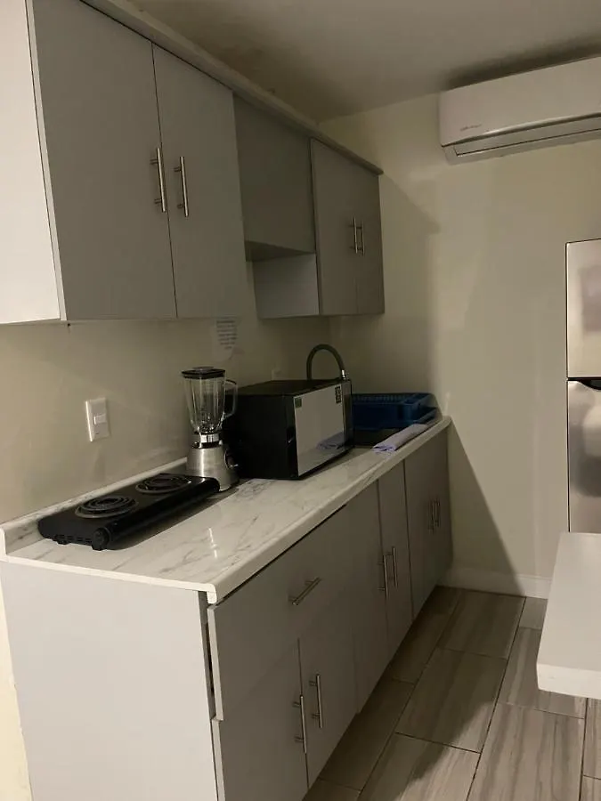 Constanza Loft Lejlighedshotel Zapopan Mexico